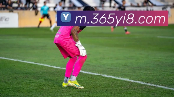 bet365官网发展历程